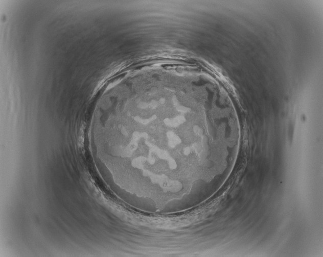 X0000086090010200703231442