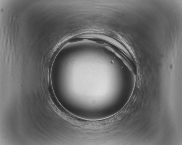 X0000086090011200703231442