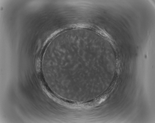 X0000086090012200703231442