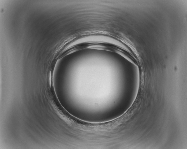 X0000086090013200703231442