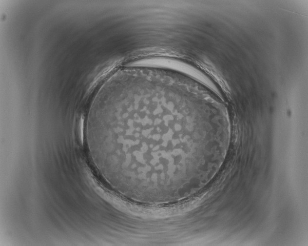 X0000086090014200703231442