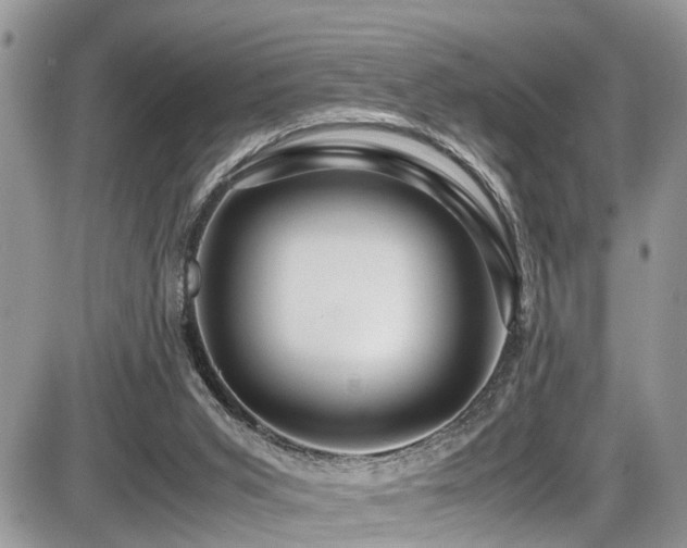 X0000086090015200703231442