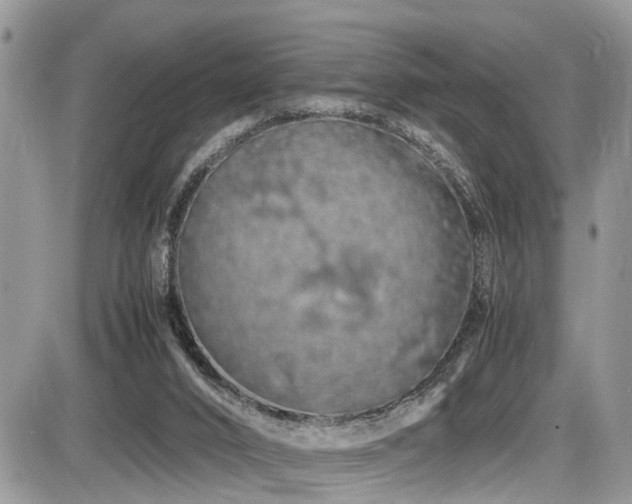 X0000086090016200703231442