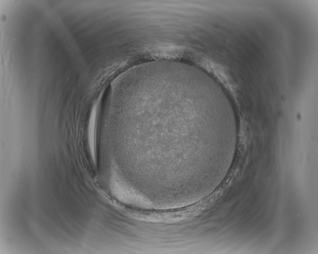 X0000086090017200703231442