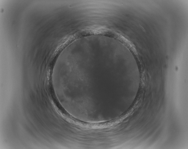 X0000086090018200703231442