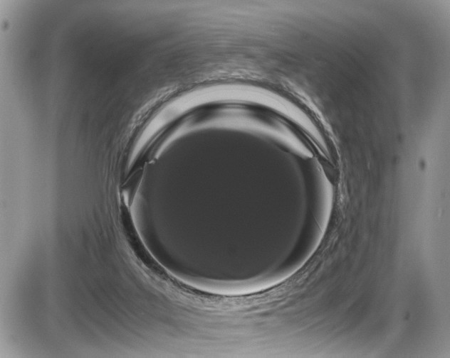 X0000086090019200703231442