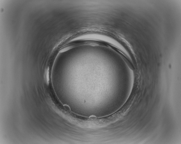 X0000086090020200703231442