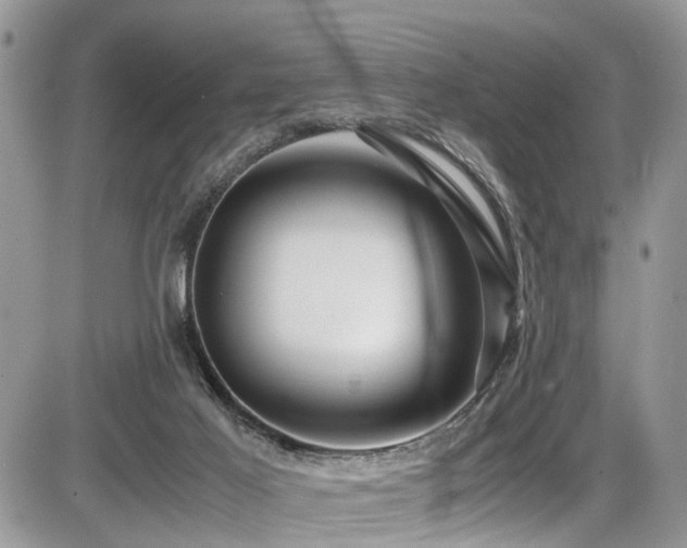 X0000086090021200703231442