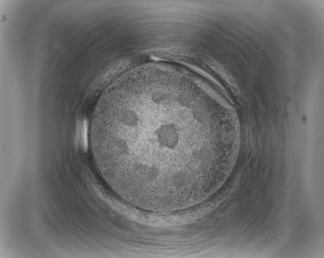 X0000086090022200703231442