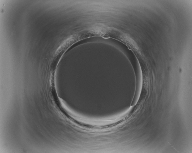 X0000086090023200703231442