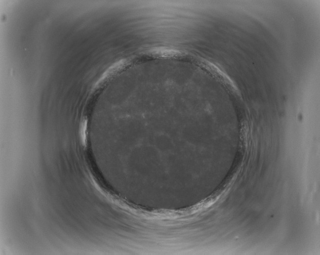 X0000086090024200703231442