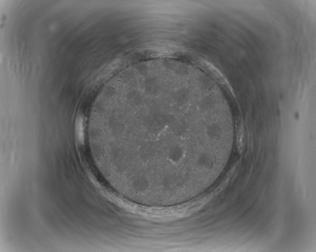 X0000086090026200703231442