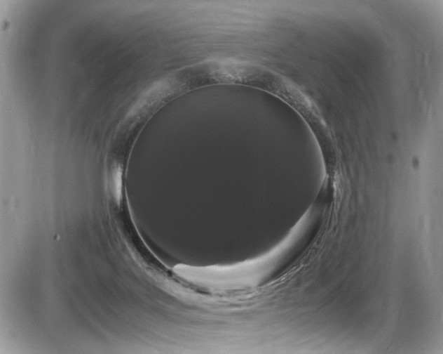 X0000086090027200703231442