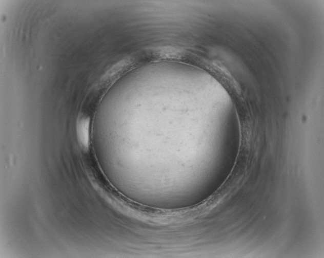 X0000086090028200703231442