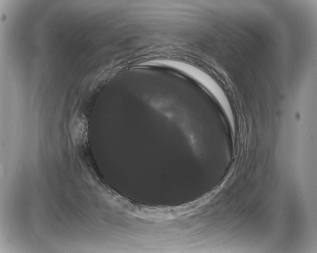 X0000086090029200703231442