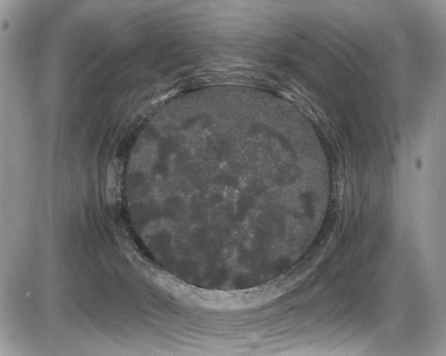 X0000086090030200703231442