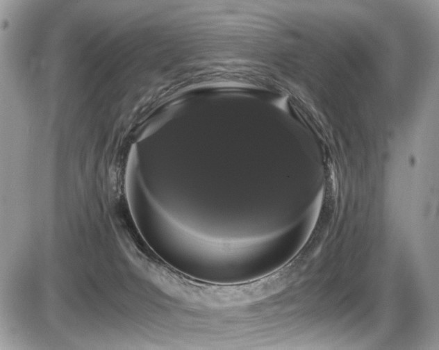 X0000086090031200703231442