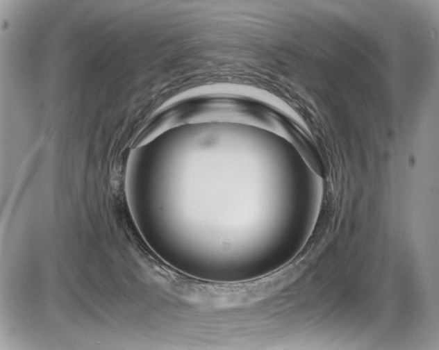 X0000086090033200703231441