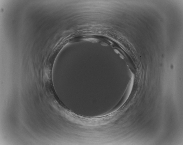 X0000086090035200703231441