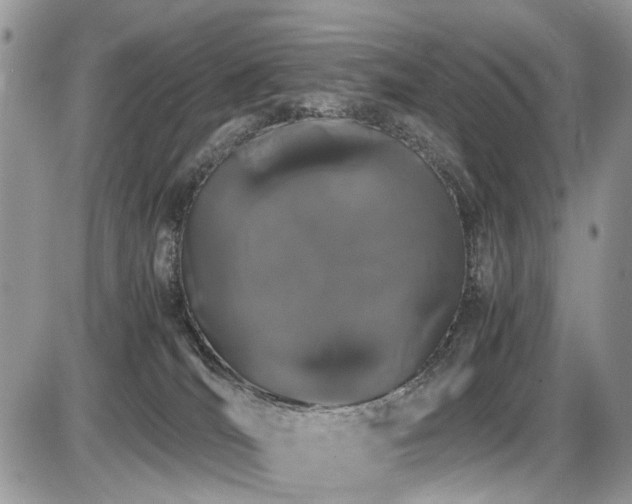 X0000086090036200703231441