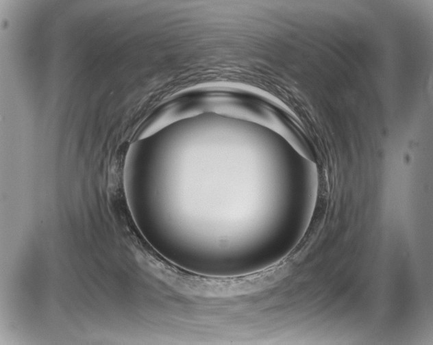 X0000086090037200703231441