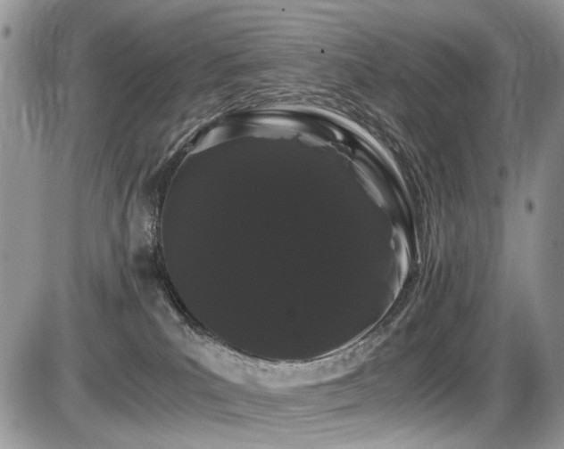 X0000086090039200703231441