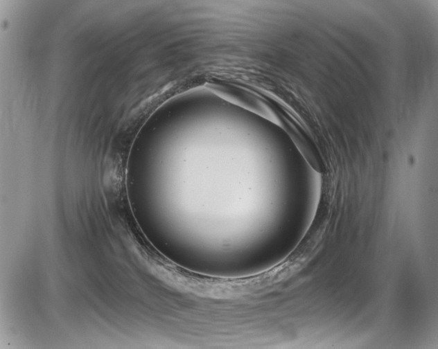 X0000086090040200703231441