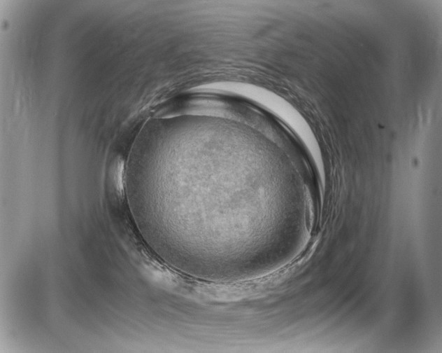 X0000086090041200703231441