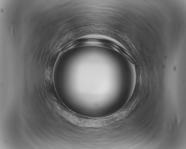 X0000086090044200703231441