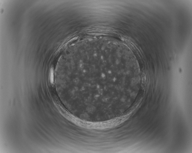 X0000086090046200703231441