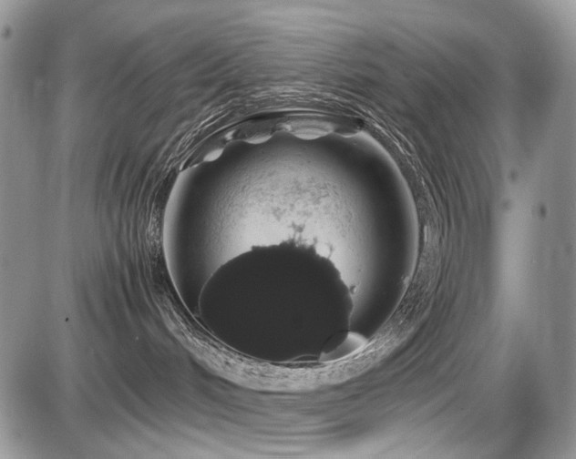 X0000086090048200703231441