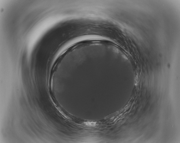 X0000086090052200703231440