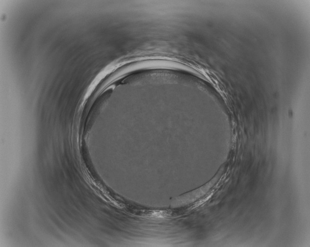 X0000086090056200703231441