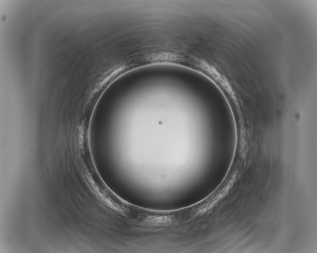 X0000086090057200703231441