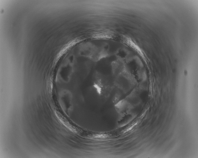 X0000086090059200703231441