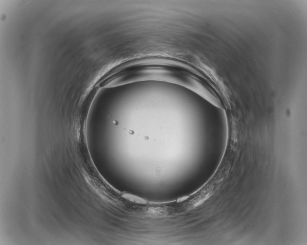 X0000086090060200703231441