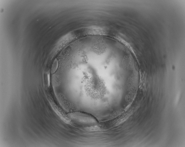 X0000086090061200703231441