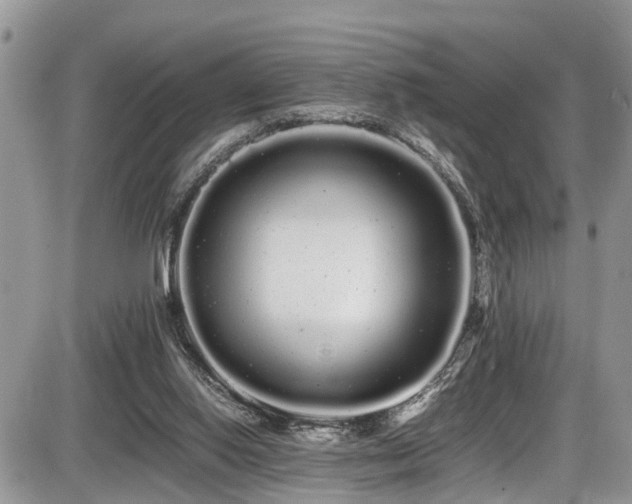 X0000086090062200703231441