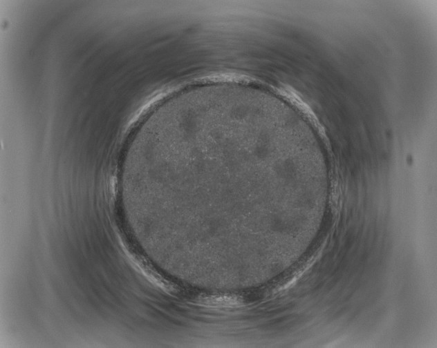 X0000086090063200703231441