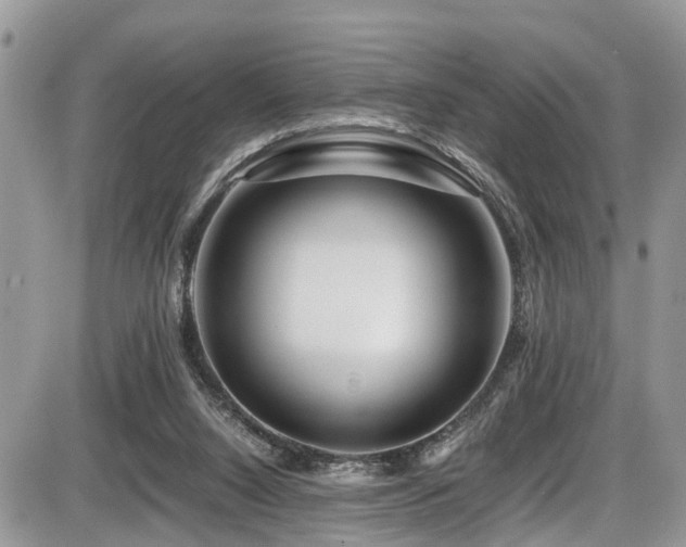 X0000086090064200703231441