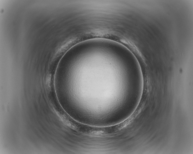 X0000086090066200703231441