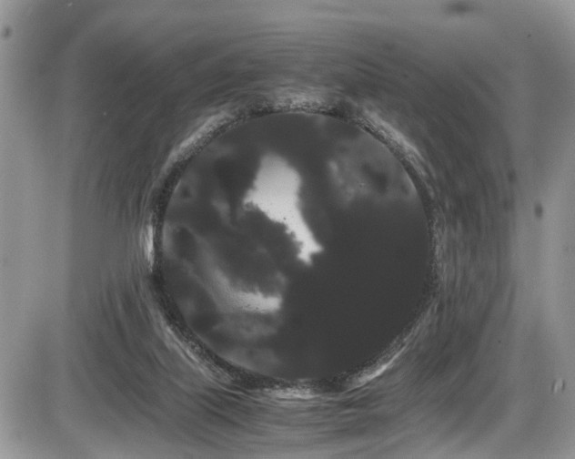 X0000086090067200703231441