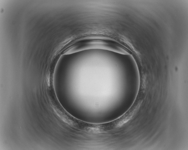 X0000086090068200703231441