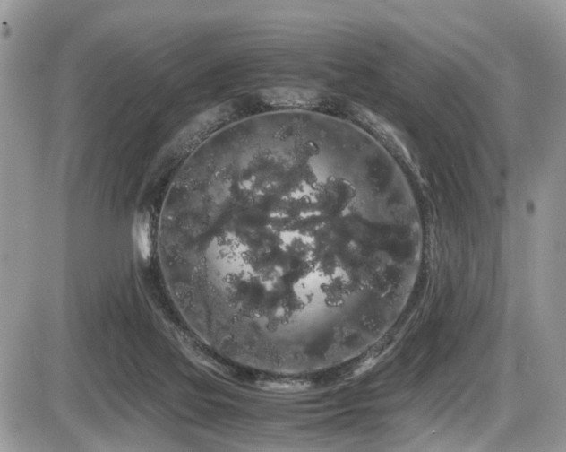 X0000086090069200703231441