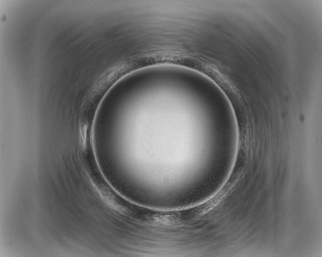 X0000086090070200703231441