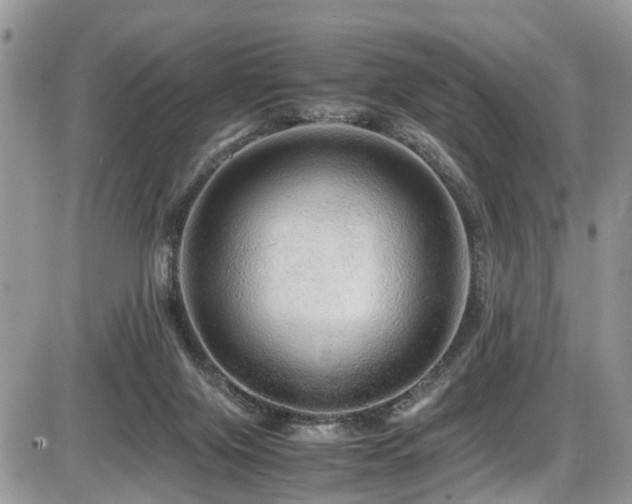 X0000086090071200703231441