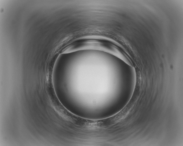 X0000086090072200703231441