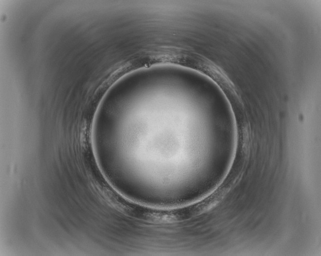 X0000086090073200703231441