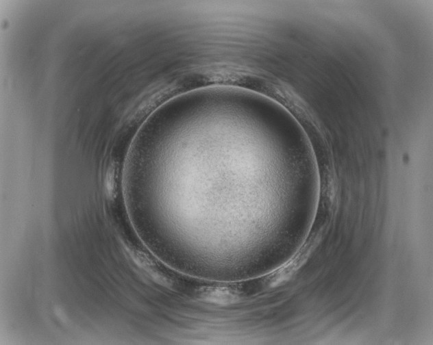 X0000086090074200703231441