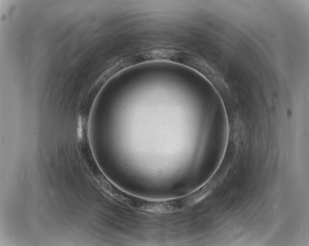 X0000086090075200703231441